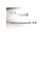 조직 Oranization의 유형-1