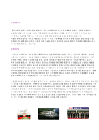 조직의 개요 레포트-5