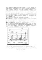 일본의 운송체계-10