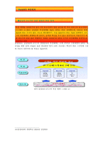 삼성 SDI 레포트-19