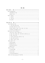 SM엔터테인먼트의 해외진출 성공사례 보아 사례를 중심으로-2