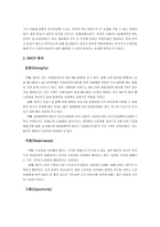 스카이 핸드폰 마케팅 분석-6