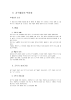 조직화 개론 레포트-3
