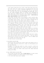 단층 노동시장론 Revisiting the UK Model-2
