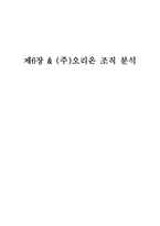 오리온 조직분석 보고서-1