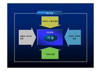 경영환경의 중요성 리포트-5