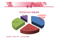 외국인 근로자 국내 외국인 근로자의 임금차별 실태-13