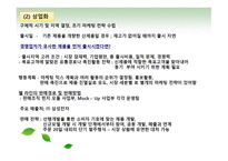 ShellLine과 제품 개발 보고서-16