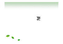 ShellLine과 제품 개발 보고서-17