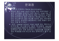 미국의 교육제도 보고서-13