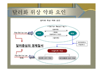 기축통화로서의 달러화-11