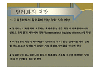 기축통화로서의 달러화-14