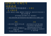 국제 인적자원관리와 국제경영_536-11