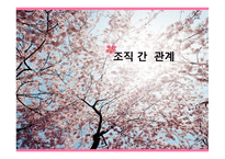 조직 간관계 자원 의존 관점-1