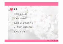 조직 간관계 자원 의존 관점-2