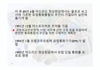 EU와 유럽 통화연맹 EMU-9