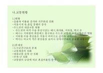 지역경제학 수도권 현황과 문제점 그리고 발전방향-4