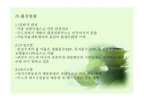 지역경제학 수도권 현황과 문제점 그리고 발전방향-6