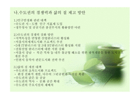 지역경제학 수도권 현황과 문제점 그리고 발전방향-11