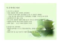 지역경제학 수도권 현황과 문제점 그리고 발전방향-12