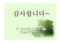 지역경제학 수도권 현황과 문제점 그리고 발전방향-13