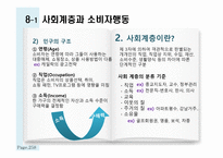 관광소비자 행동의 환경적 요인 인구통계적 요인과 사회계층-3