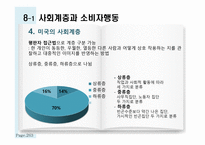 관광소비자 행동의 환경적 요인 인구통계적 요인과 사회계층-6