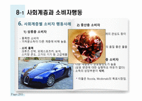 관광소비자 행동의 환경적 요인 인구통계적 요인과 사회계층-8
