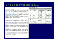 과학기술정책 IT839 정책에 대하여-10