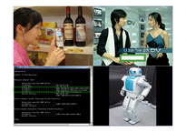 과학기술정책 IT839 정책에 대하여-12