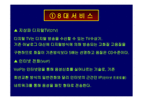 과학기술정책 IT839 정책에 대하여-13