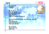 SM엔터테인먼트 해외진출 사례-2