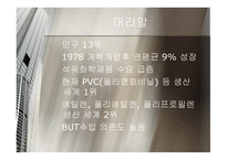 중국의 석유화학산업 현황과 우리 기업의 진출방향-3