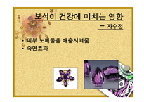 웰빙시대 보석이 변하고 있다 보고서-10