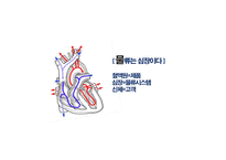 국제물류운송론-19