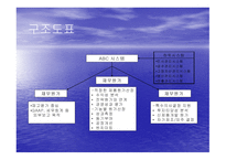 ABC회계시스템 분석-12
