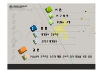 퓨마의 마케팅 분석-2