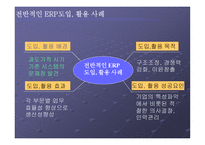 기업별 ERP 시스템 도입 활용사례-3