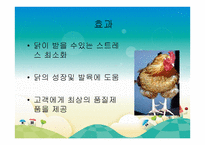 기업 품질관리시스템 보고서-20