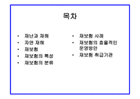 자연재해와 보험자의 역할 보고서-2