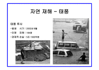 자연재해와 보험자의 역할 보고서-4