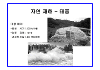 자연재해와 보험자의 역할 보고서-5