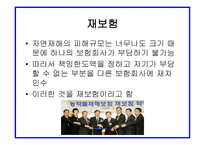 자연재해와 보험자의 역할 보고서-8