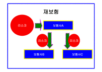 자연재해와 보험자의 역할 보고서-9