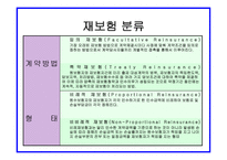 자연재해와 보험자의 역할 보고서-11