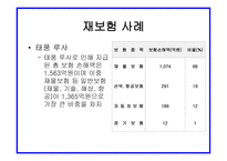 자연재해와 보험자의 역할 보고서-12