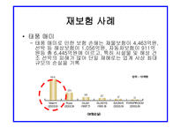 자연재해와 보험자의 역할 보고서-13