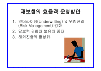 자연재해와 보험자의 역할 보고서-16