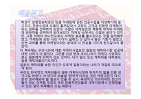 캐릭터 마케팅 레포트-13