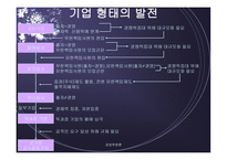 기업형태의 발전 개요-2